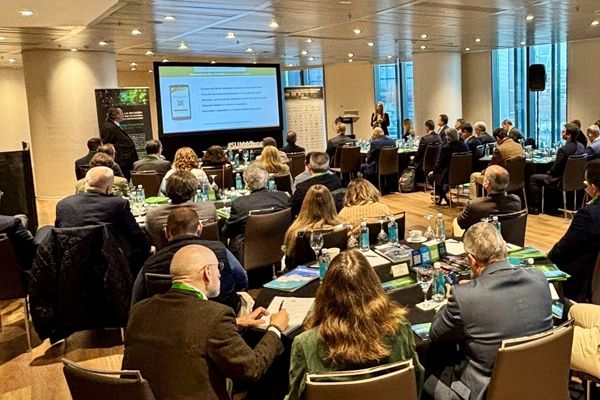 Reunión de Grupos de Trabajo enerTIC – Enero 2026