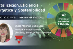 Eficiencia Energética y Sostenibilidad en la Industria 4.0