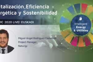 Hidrógeno. Un vector energético para una economía descarbonizada.