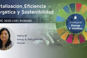Bits catalizan Vatios, construyendo una Smart Grid plenamente conectada.