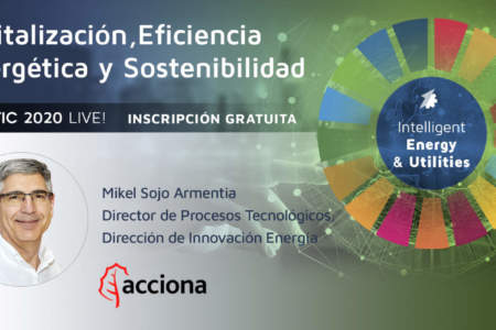 Visión y Experiencia de Acciona