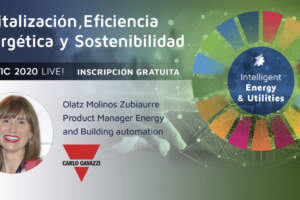 Smart Grids, Tecnologías de presente y futuro