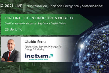 Casos prácticos del Gemelo Digital en la Industria y Niveles de Madurez
