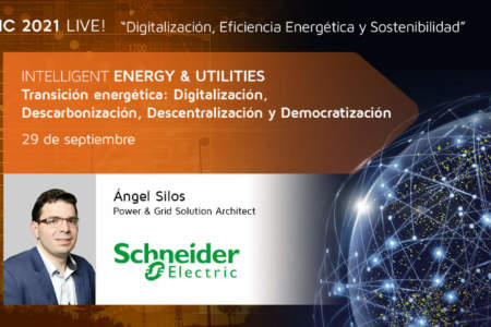 Modelización de la red para la adaptación a la Transición Energética
