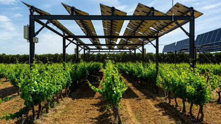 Techedge, conjuntamente con Gonzalez Byass, desarrollan Winesolar, un proyecto sostenible de energía fotovoltaica aplicada a los viñedos