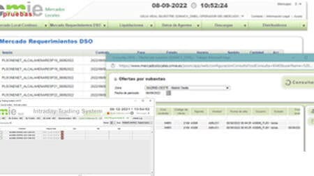Mercados locales de flexibilidad