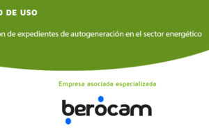 Gestión de expedientes de autogeneración en el sector energético