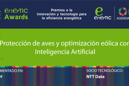 Protección de aves y optimización eólica con Inteligencia Artificial